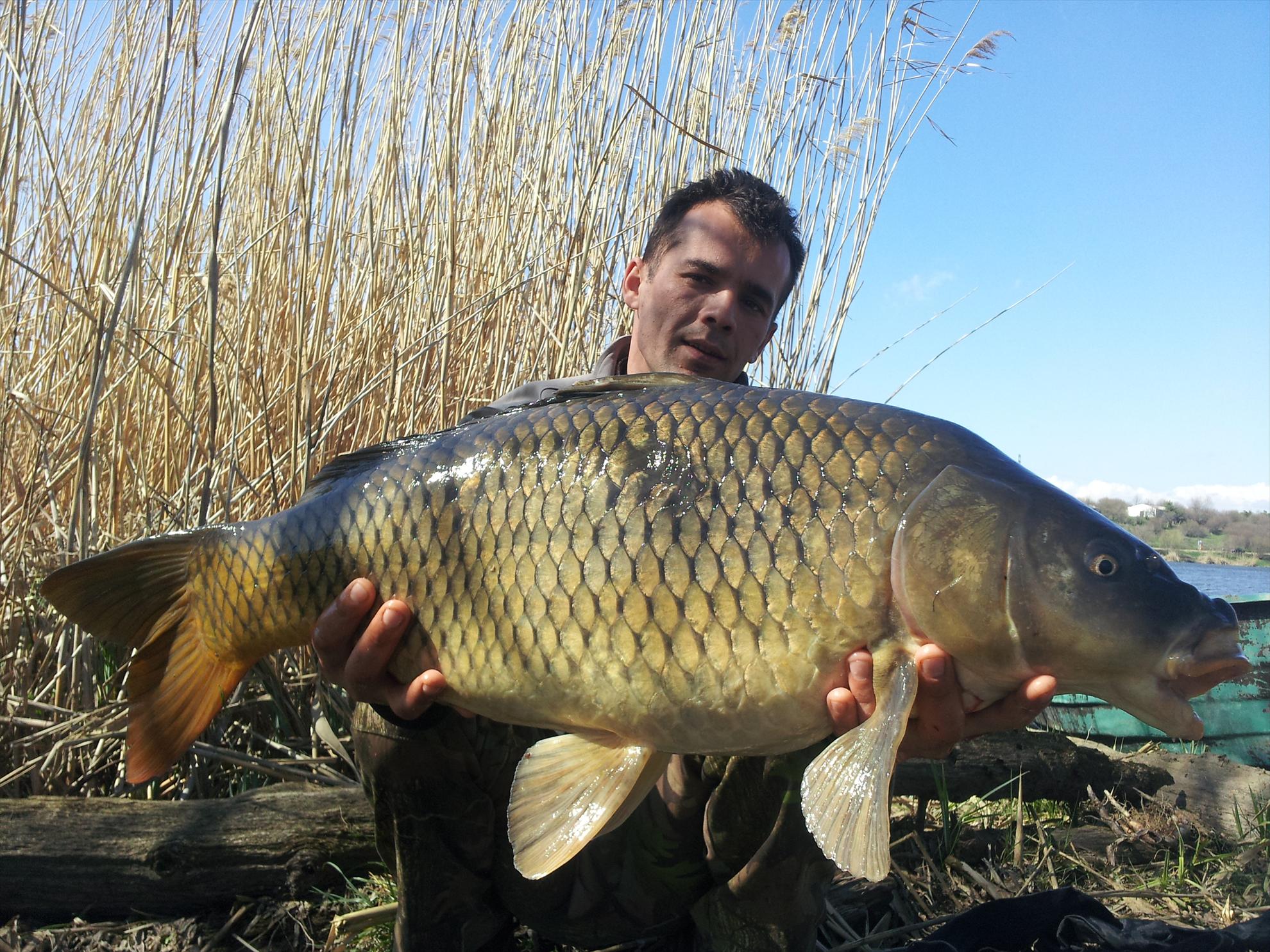 tancabesti  5-6 aprilie 2013 - 20130406151414.jpg